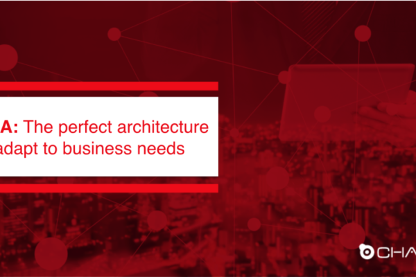 SOA the perfect architecture