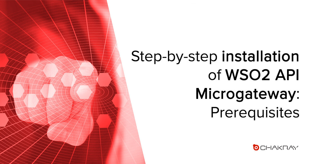 Step-by-step installation of WSO2 API Microgateway | Guide