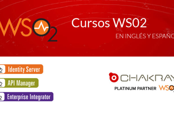 cursos experto wso2